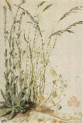 Grasses unknow artist